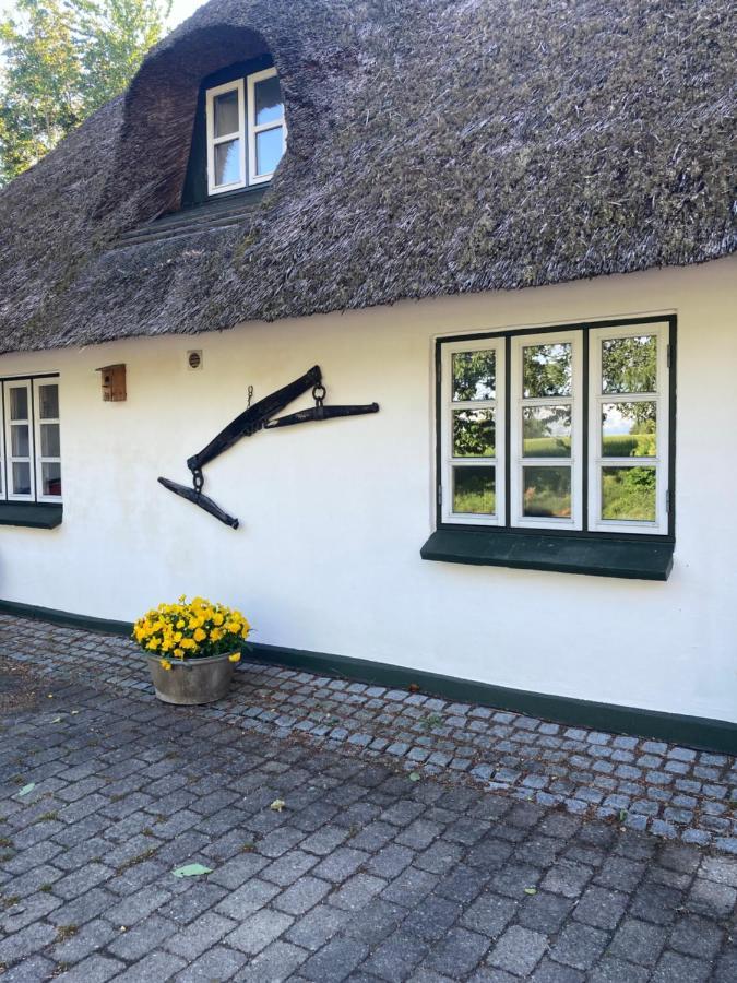Skovlyset'S B&B Juelsminde  Luaran gambar