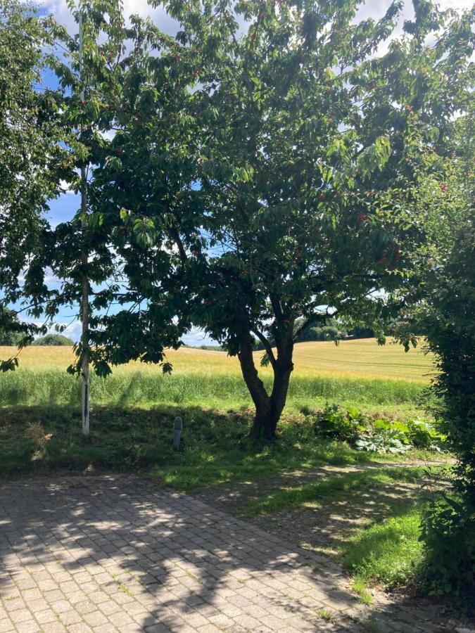 Skovlyset'S B&B Juelsminde  Luaran gambar