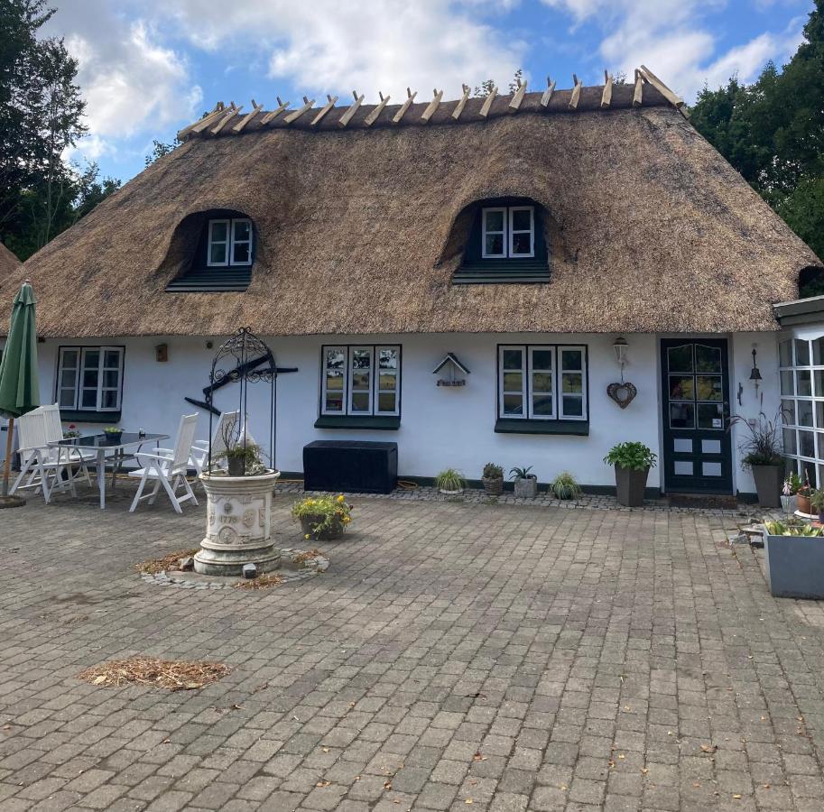 Skovlyset'S B&B Juelsminde  Luaran gambar